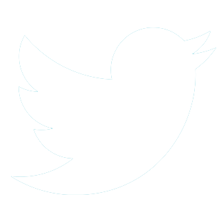 twitter-icon